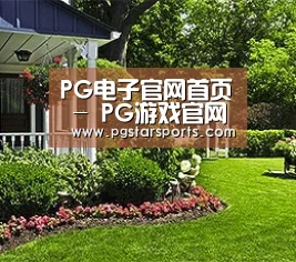 PG电子官网首页 - PG游戏官网入口 - 官方平台直达