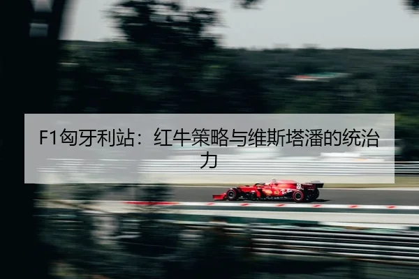 xiong-ya-li-zhan-hong-niu-ce-lve-yu-wei-si-ta-pan-de-tong-zhi-li-2-692.jpg