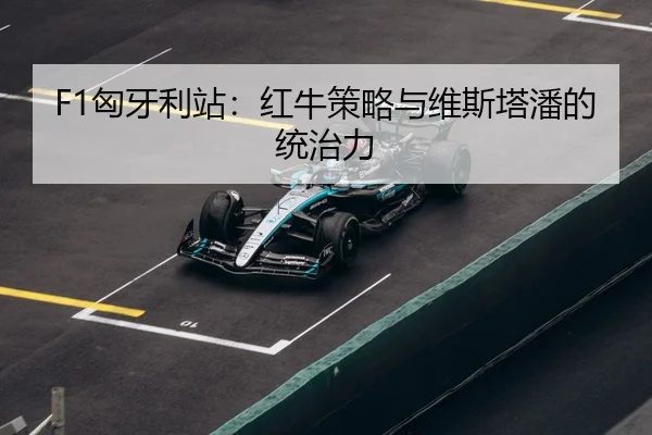 xiong-ya-li-zhan-hong-niu-ce-lve-yu-wei-si-ta-pan-de-tong-zhi-li-3-502.jpg