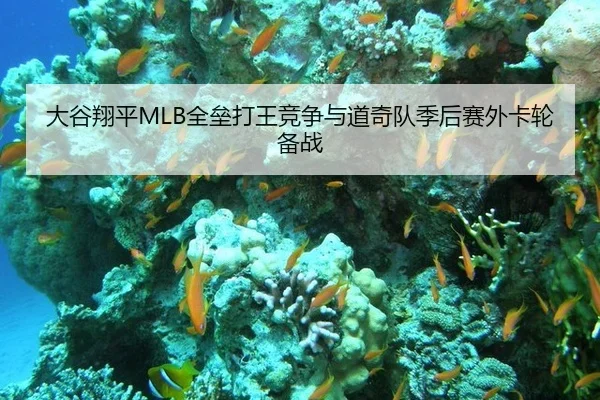da-gu-xiang-ping-quan-lei-da-wang-jing-zheng-yu-dao-qi-dui-ji-hou-sai-wai-ka-lun-bei-zhan-1-588.jpg