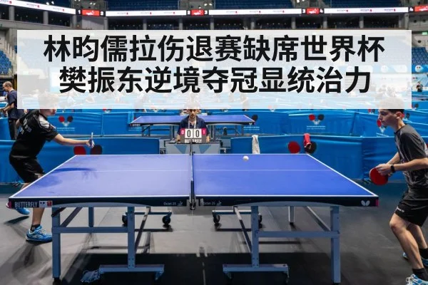 林昀儒拉伤退赛缺席世界杯 樊振东逆境夺冠显统治力