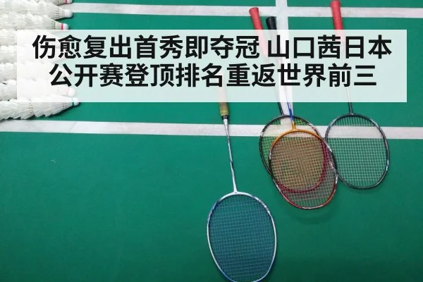 badminton final match